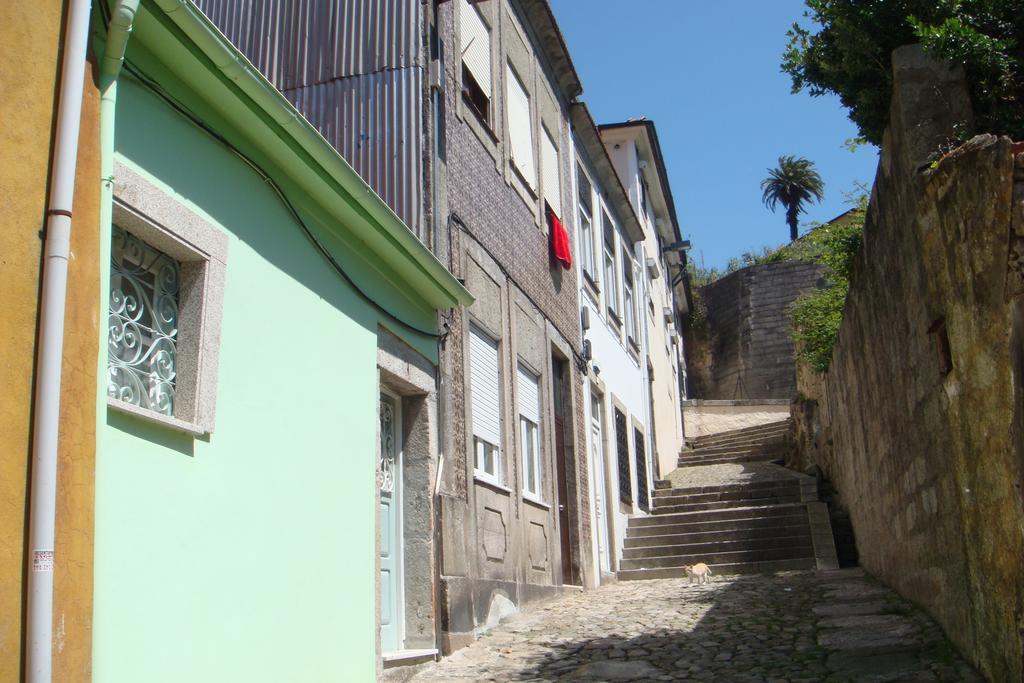 Green House Porto Quarto foto